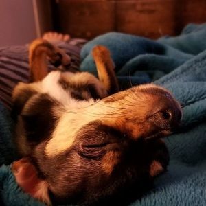 Meet your Posher, Jody